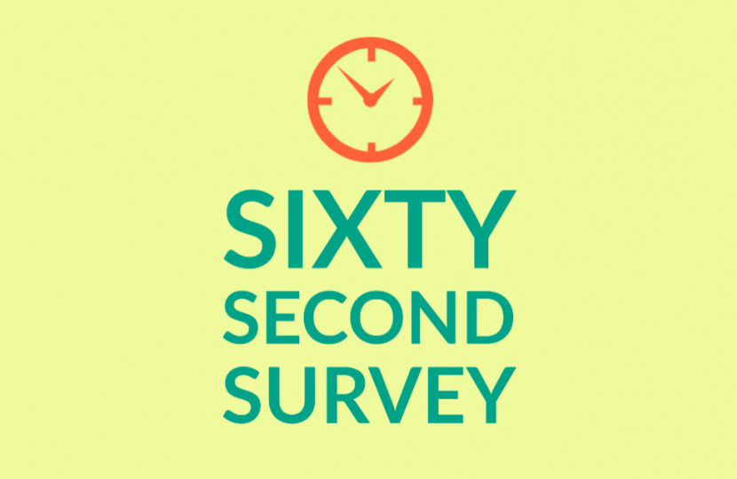 sixty second survey